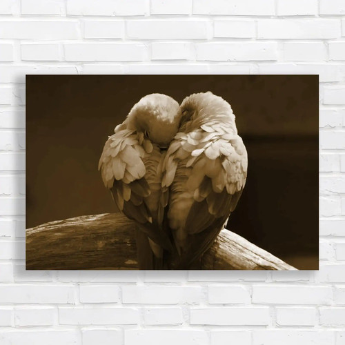 Pair lovebirds sepia canvas - sepia,