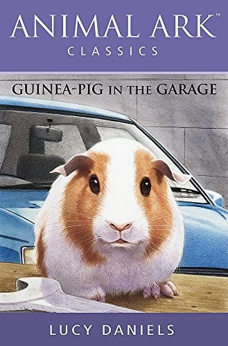 Guinea pig the garage - guinea-pig,