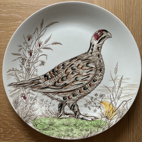 British anchor wild birds - anchor, of