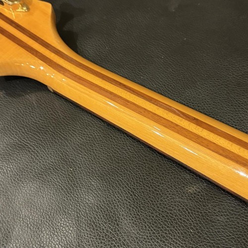 Aria pro rsz rudy sarzo - aria, sb-rsz