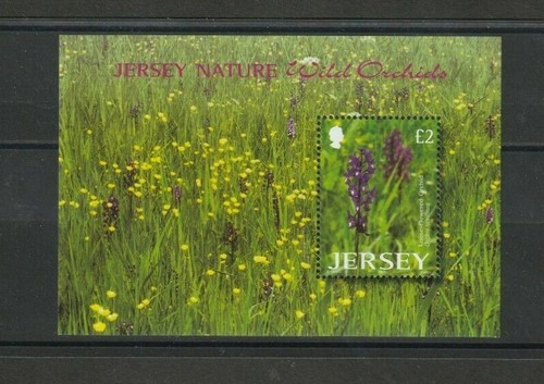 Jersey 2003 wild orchids - jersey,