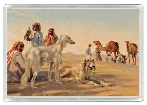 Saluki dog fridge magnet great - saluki,