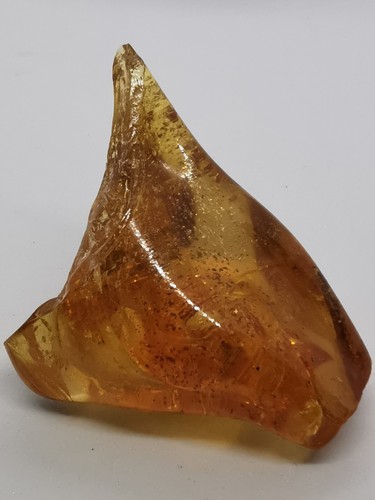 Amber with insect inclusions - with,
