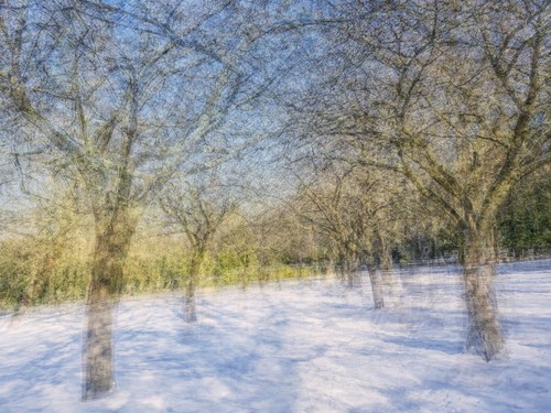 Winter avenue 12 - winter, 12"