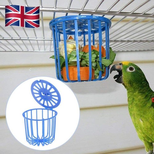 Parrot feeder hanging basket - parrot,