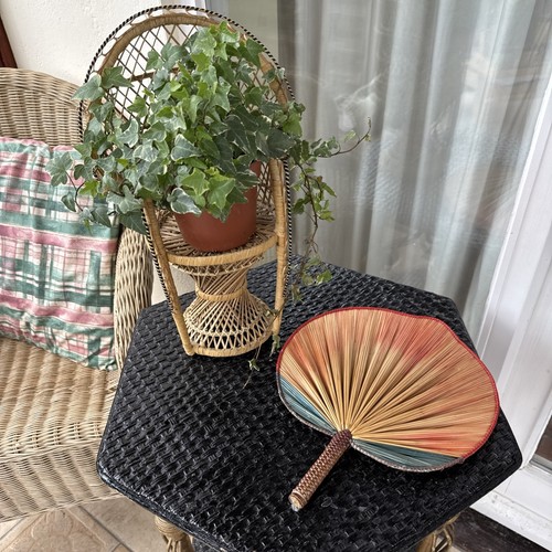 Boho small wicker peacock - wicker,