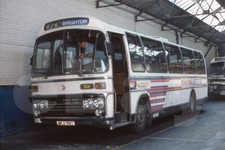 Coach photo western national - photo,