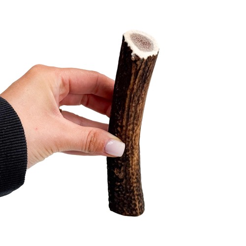 Antler dog chews medium plus - chews,
