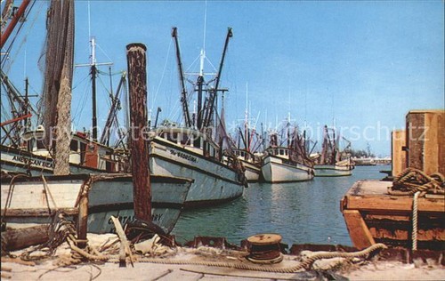 Key west shrimp - key, harbour