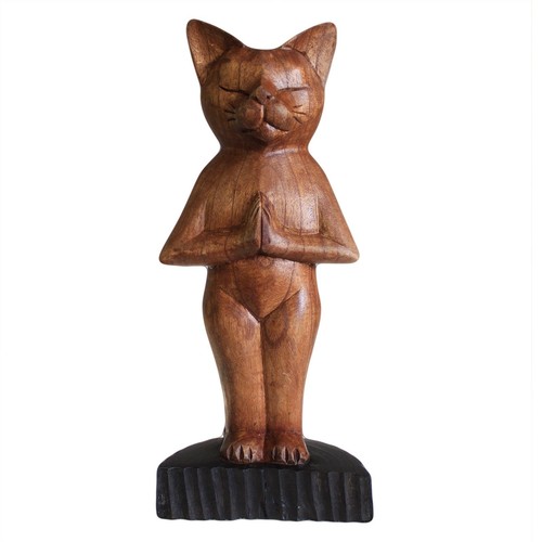 Standing yoga cat - standing,