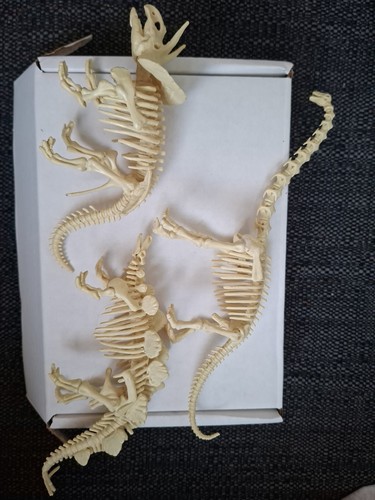 Lot plastic dinosaur - of, 3
