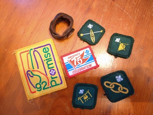 Cub scout badges - cub,