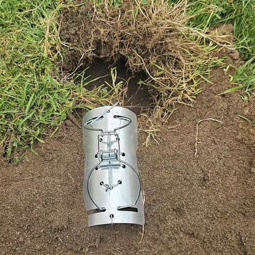 5pcs tunnel mole trap heavy - tunnel, |