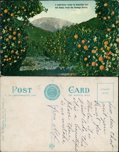 Old baldy from - old, orange