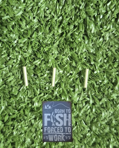 Isotopes 3 carp fishing - 🎣,
