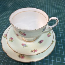 Paragon fine bone - paragon, trio