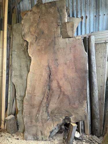English yew slabs - yew, slabs,