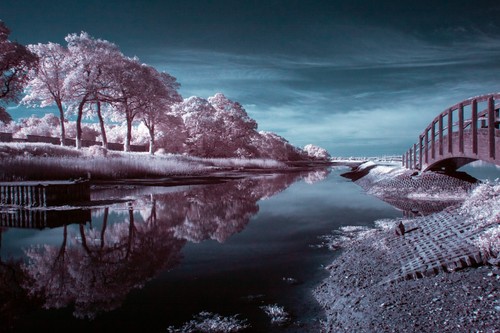 Infrared 720nm canon - infrared,