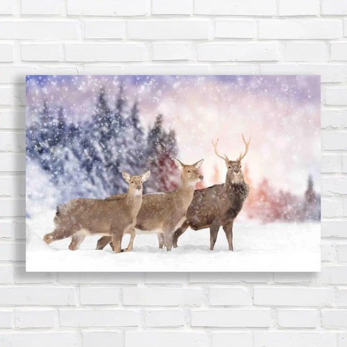 Captivating snowy stag - captivating,
