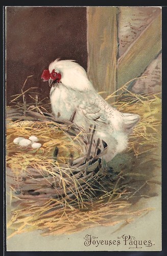 Postcard hen hatching - hen, her