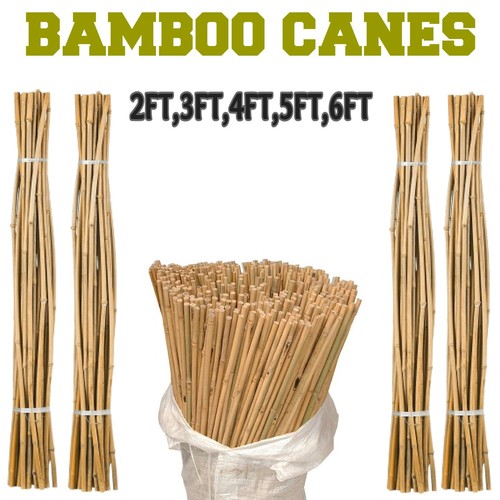 Bamboo garden canes - garden, duty