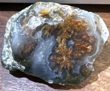 Natural Forest Moss Agate