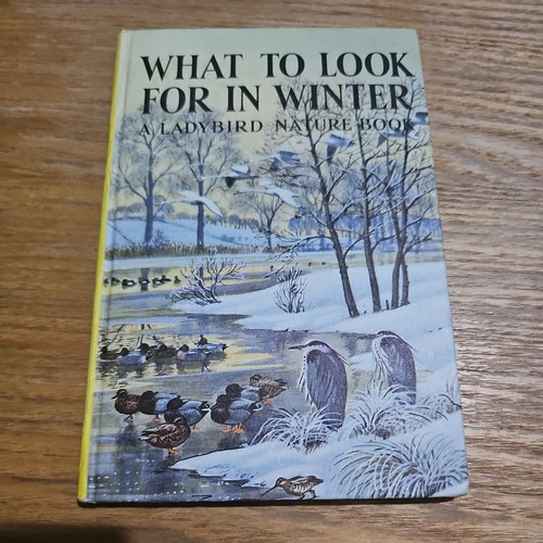 Ladybird book what look - to,
