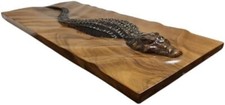 30 Inch Alligator Swimming