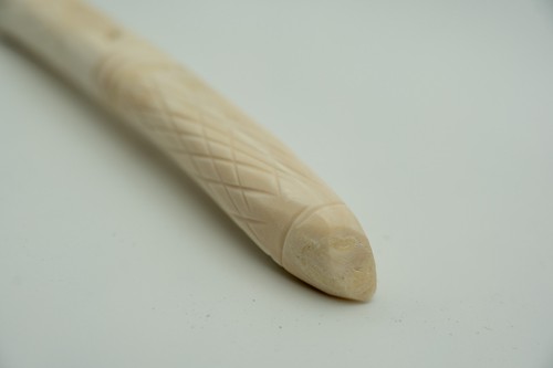 Replica elephant tusk - replica,