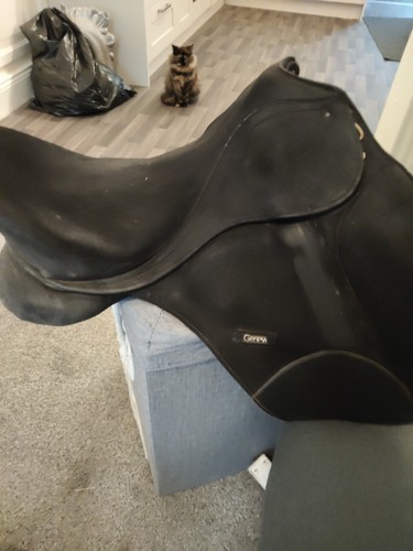 Gfs genesis black dressage - genesis,