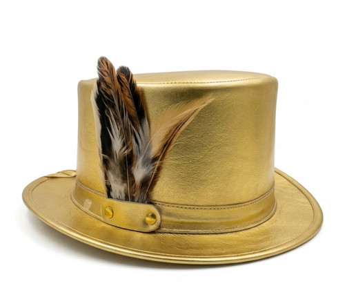 Gold leather top - gold,