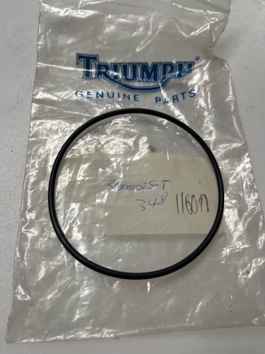 New genuine triumph daytona - genuine,