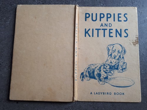 Puppies and kittens old - puppies,