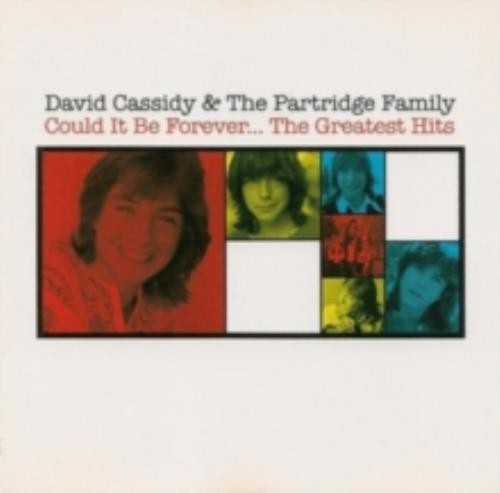 David cassidy the partridge - david,