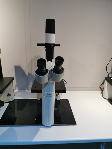Leica microscope - leica, dm