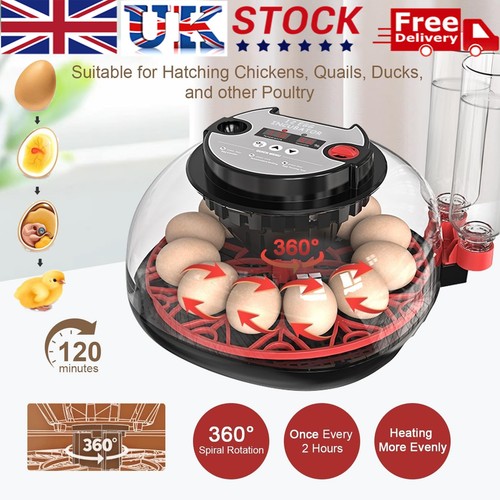 Eggs incubator automatic - incubator,