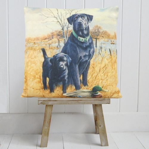 Black labrador puppy - labrador, &