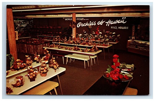 Postcard orchids hawaii - orchids, of