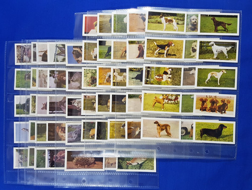 Hornimans tea card sets - 2x,