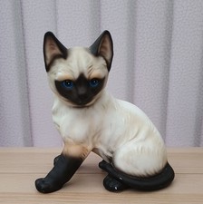 Siamese Kitten Blue Eyed Cat