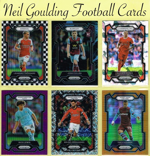 Panini prizm premier - prizm,