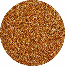 RED MILLET 2kg Seed Garden Caged Bird Seed Budgie Finch Wild Bird Seed