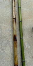 Flame Cured bamboo 1”