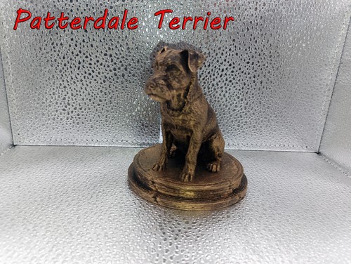 Patterdale terrier bust - bust, –