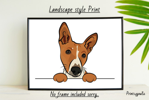 Basenji dog pet picture - pet,