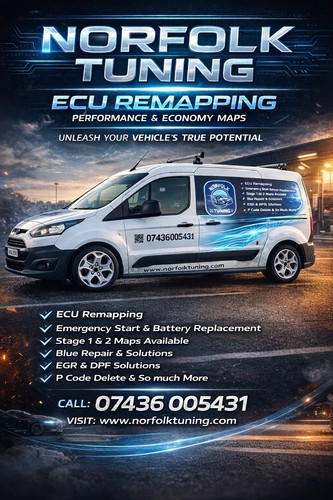 Ecu remap remapping - ecu,