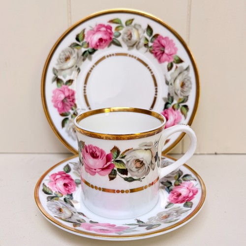 Royal worcester garden - worcester,