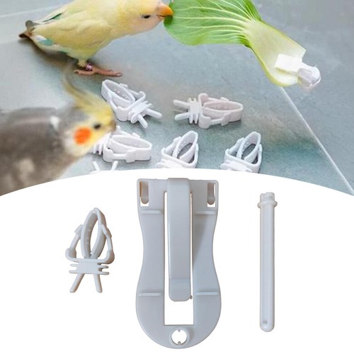 Bird cage food - food,