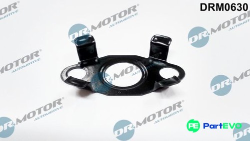 Motor automotive oil - dr.motor, outlet