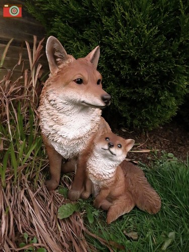 Fox cub mother - cub, arts